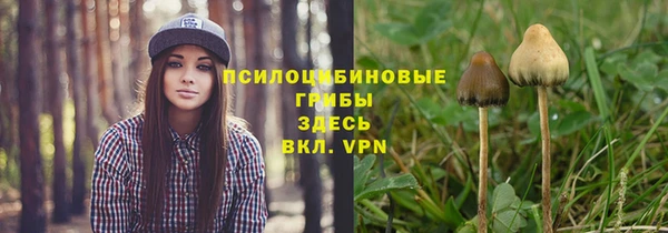 сатива Медногорск