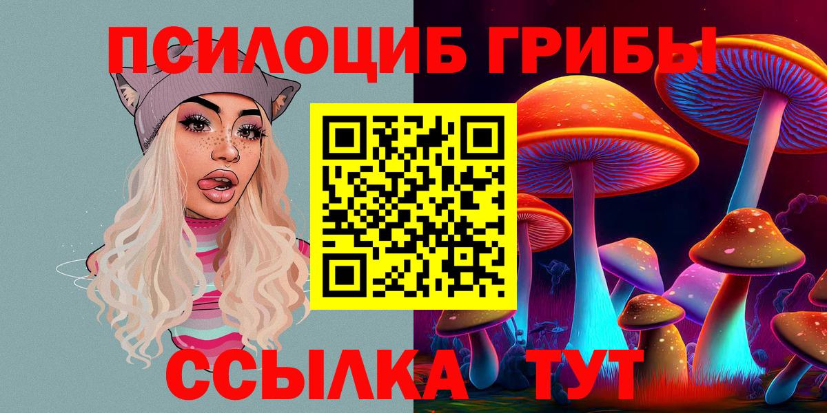 даркнет сайт  Морозовск  Псилоцибиновые грибы Psilocybe 