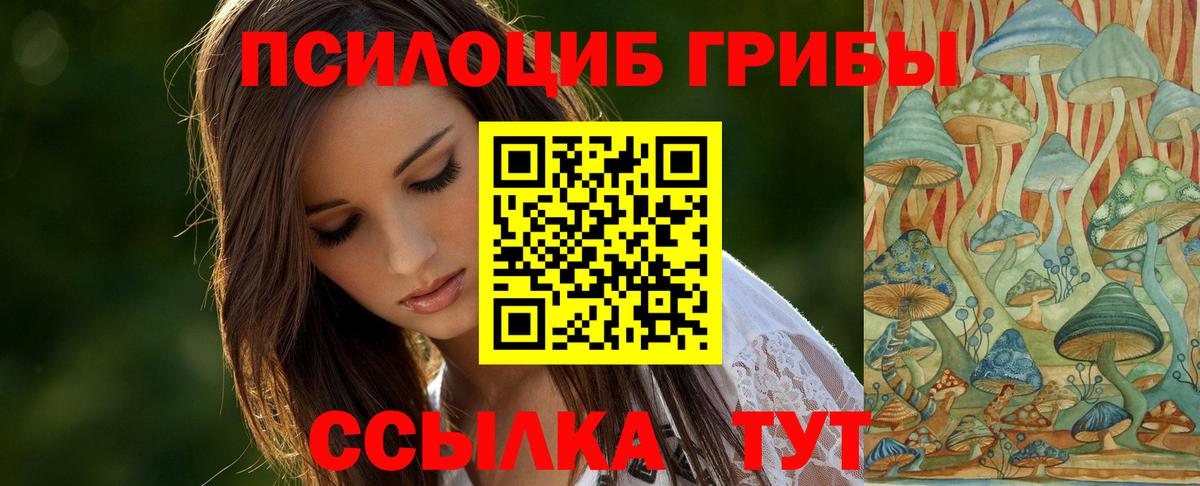 Галлюциногенные грибы Cubensis  Вход с VPN  Морозовск 