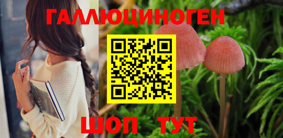 Морозовск  Вход с VPN  Экстази  Хэш  Мяу-Мяу  Каннабис 