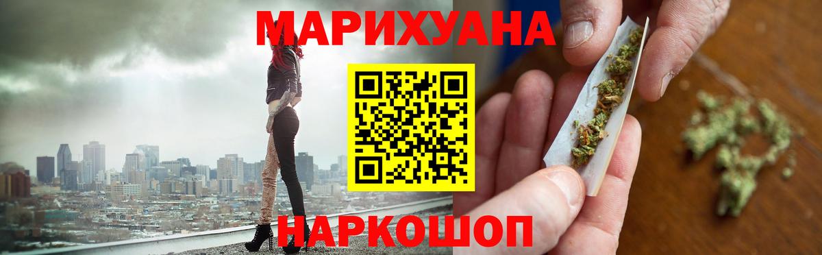 Конопля планчик Морозовск